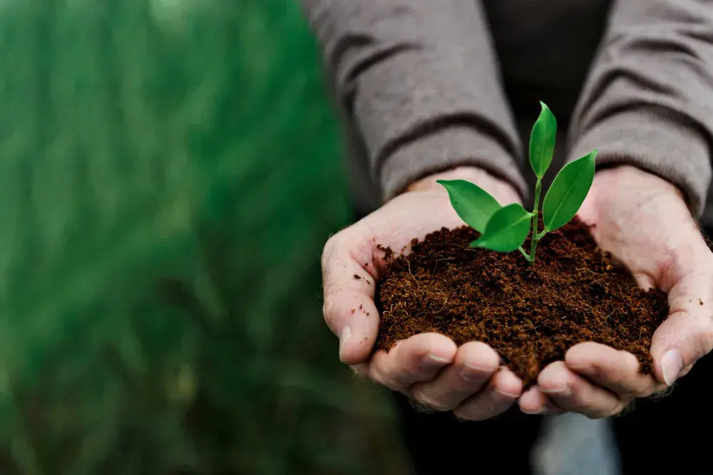 Environmental Sustainability